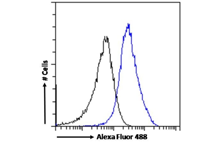 Flow Cytometry - Anti-RanBP1 Antibody (A84036) - Antibodies.com