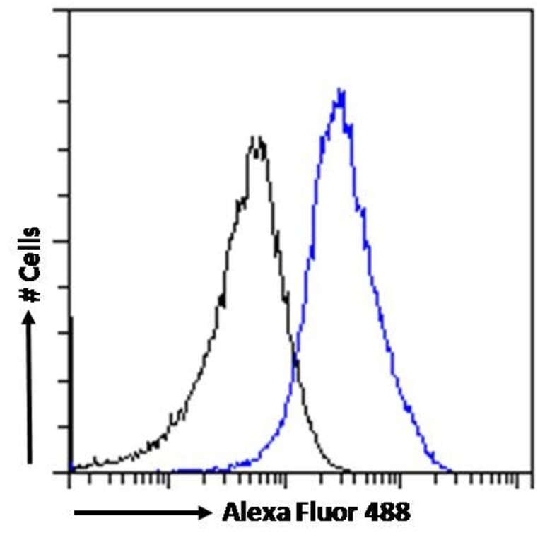 Flow Cytometry - Anti-RanBP1 Antibody (A84036) - Antibodies.com