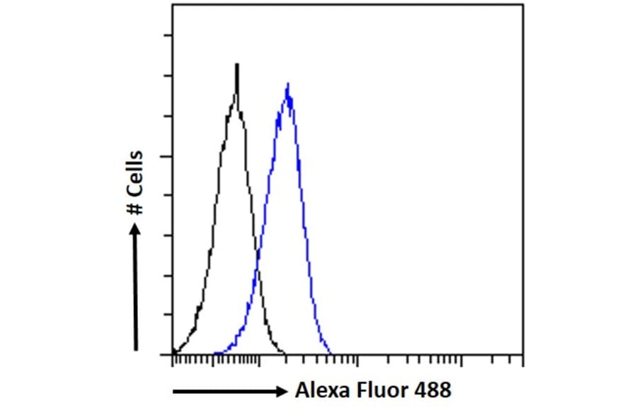 Flow Cytometry - Anti-DKK1 Antibody (A84041) - Antibodies.com