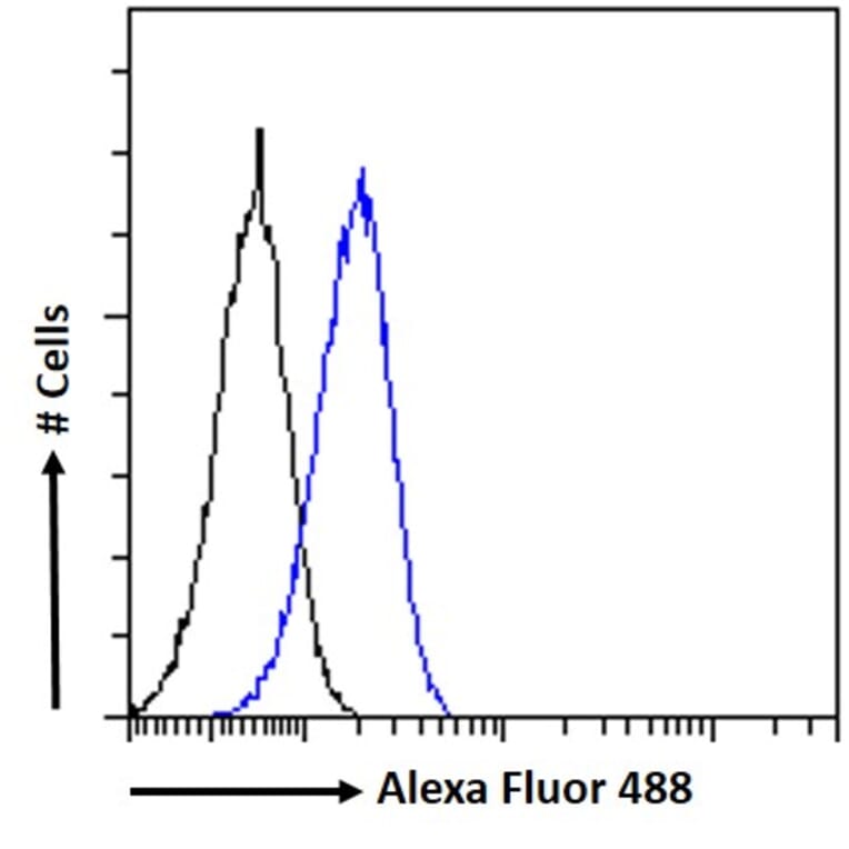 Flow Cytometry - Anti-DKK1 Antibody (A84041) - Antibodies.com