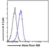 Flow Cytometry - Anti-DKK1 Antibody (A84041) - Antibodies.com