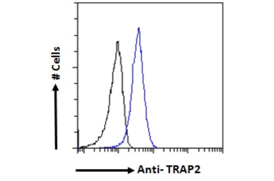 Flow Cytometry - Anti-Proteasome 26S S2 Antibody (A84053) - Antibodies.com