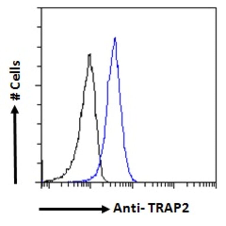 Flow Cytometry - Anti-Proteasome 26S S2 Antibody (A84053) - Antibodies.com