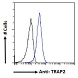 Flow Cytometry - Anti-Proteasome 26S S2 Antibody (A84053) - Antibodies.com