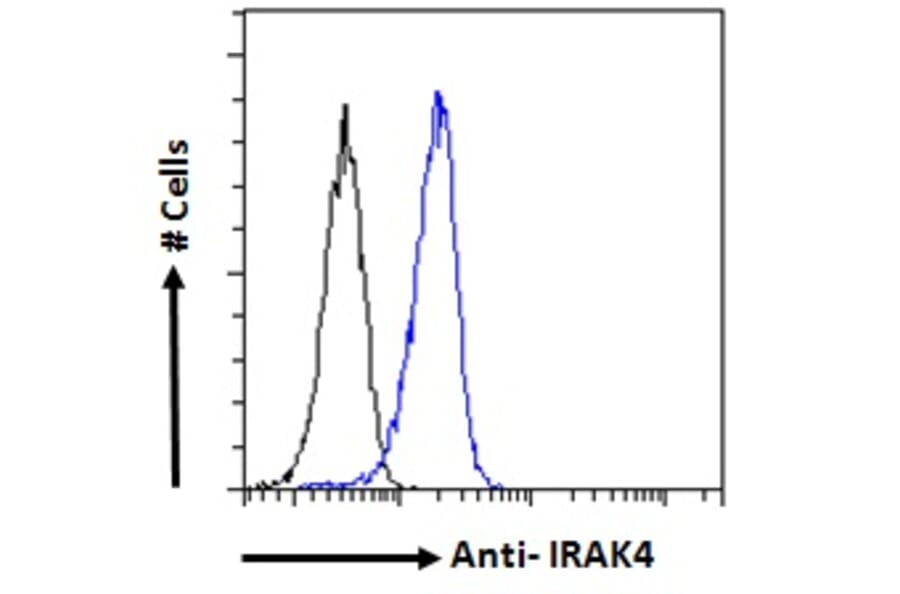 Flow Cytometry - Anti-IRAK4 Antibody (A84059) - Antibodies.com