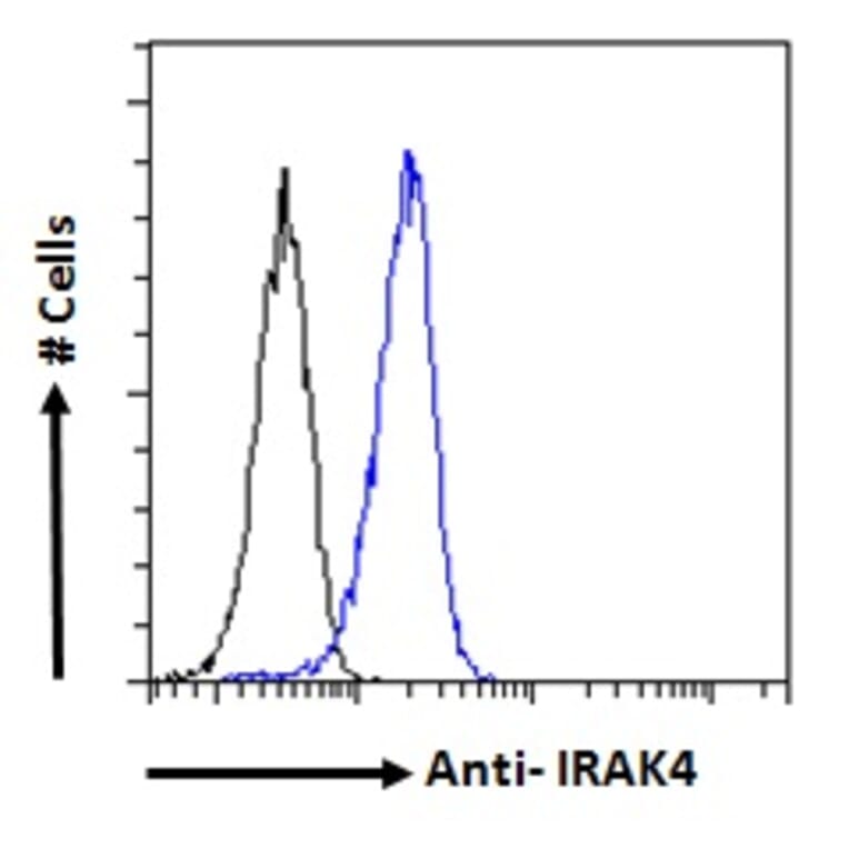 Flow Cytometry - Anti-IRAK4 Antibody (A84059) - Antibodies.com