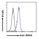 Flow Cytometry - Anti-IRAK4 Antibody (A84059) - Antibodies.com