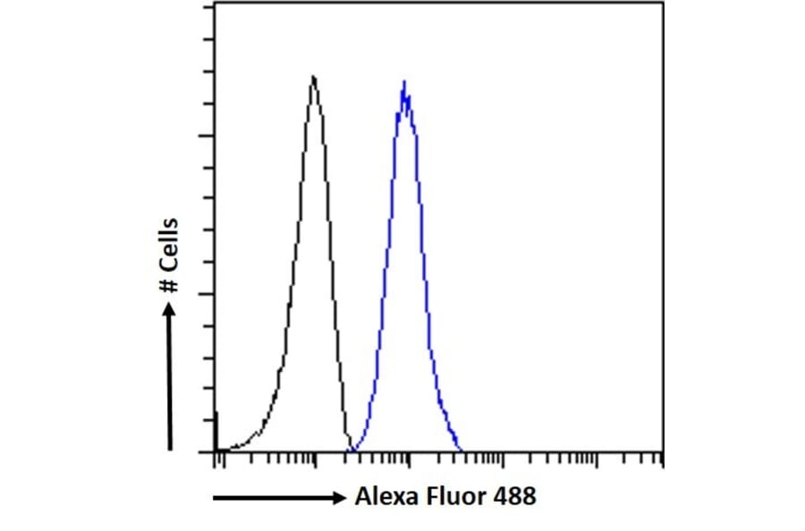 Flow Cytometry - Anti-Plexin D1 Antibody (A84067) - Antibodies.com