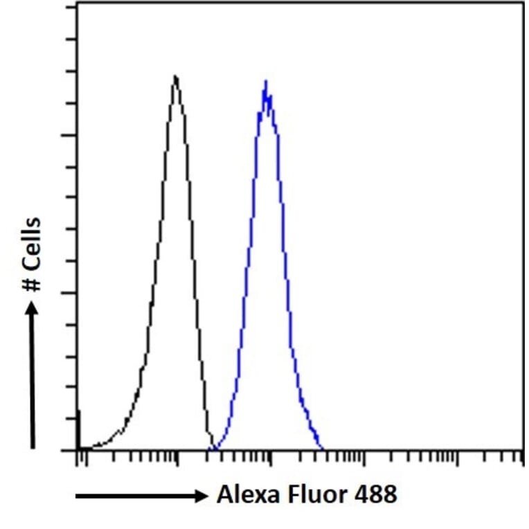 Flow Cytometry - Anti-Plexin D1 Antibody (A84067) - Antibodies.com