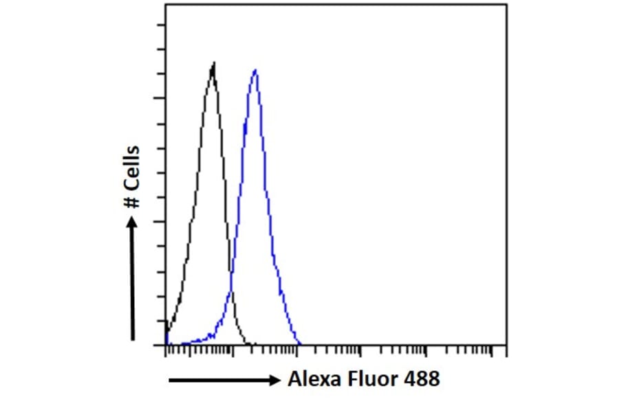 Flow Cytometry - Anti-Semaphorin 3E Antibody (A84068) - Antibodies.com