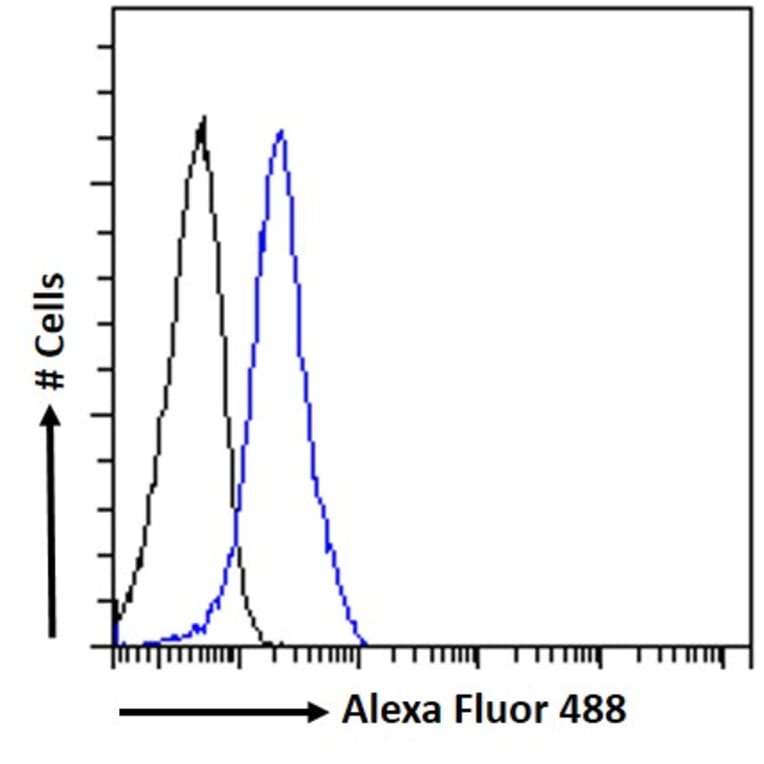 Flow Cytometry - Anti-Semaphorin 3E Antibody (A84068) - Antibodies.com