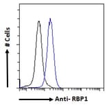 Flow Cytometry - Anti-RBP1 Antibody (A84070) - Antibodies.com