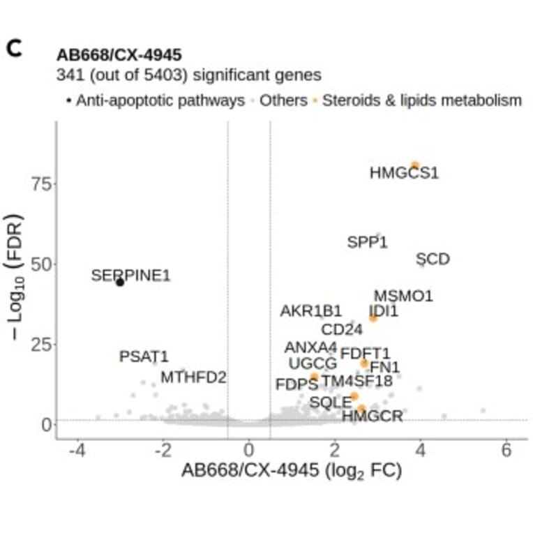 Volcano plots - Anti-PAI1 Antibody - Antibodies.com