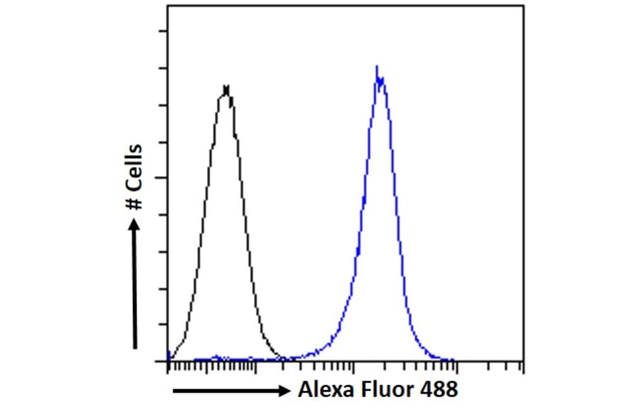 Flow Cytometry - Anti-GST3/GST pi Antibody (A84101) - Antibodies.com