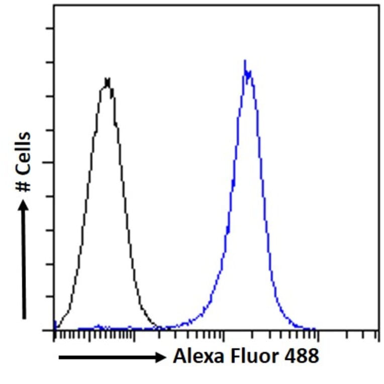 Flow Cytometry - Anti-GST3/GST pi Antibody (A84101) - Antibodies.com