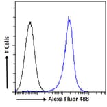 Flow Cytometry - Anti-GST3/GST pi Antibody (A84101) - Antibodies.com