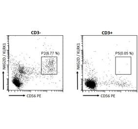 Flow Cytometry - Anti-NKG2D Antibody (A84110) - Antibodies.com