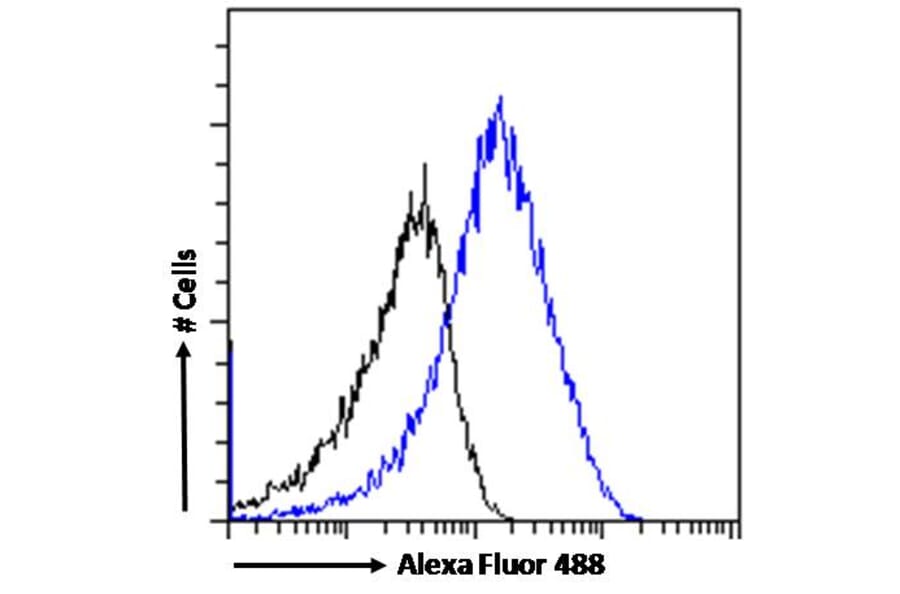 Flow Cytometry - Anti-SDHB Antibody (A84115) - Antibodies.com