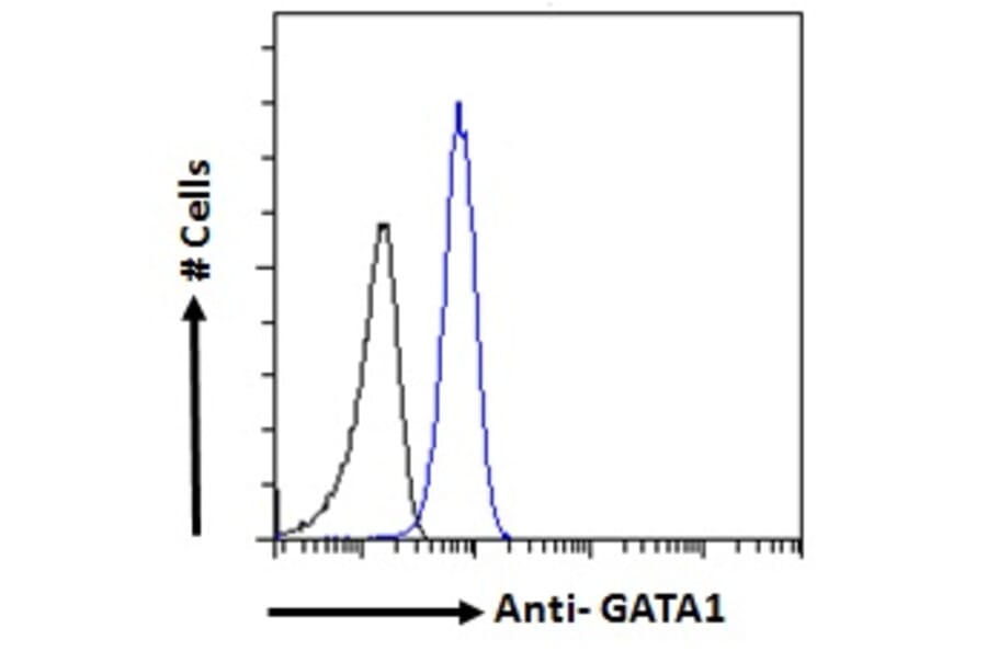 Flow Cytometry - Anti-GATA1 Antibody (A84117) - Antibodies.com