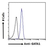 Flow Cytometry - Anti-GATA1 Antibody (A84117) - Antibodies.com