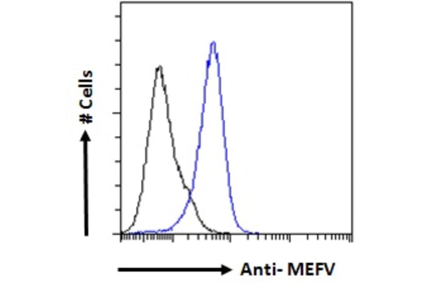 Flow Cytometry - Anti-Pyrin Antibody (A84118) - Antibodies.com