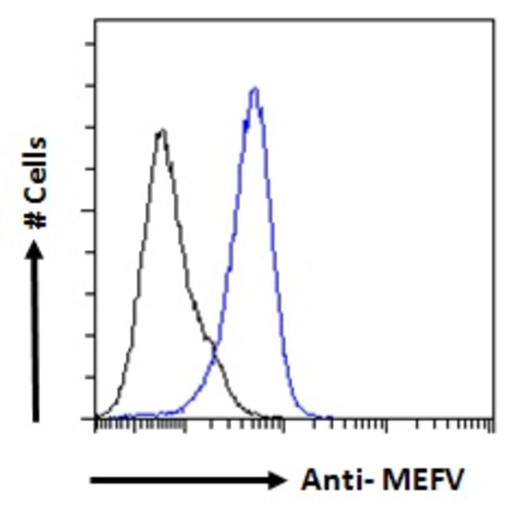 Flow Cytometry - Anti-Pyrin Antibody (A84118) - Antibodies.com