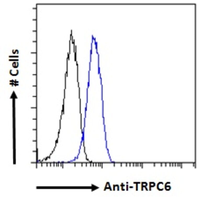 Flow Cytometry - Anti-TRPC6 Antibody (A84123) - Antibodies.com