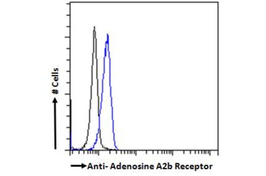 Flow Cytometry - Anti-Adenosine A2b Receptor/ADORA2B Antibody (A84130) - Antibodies.com