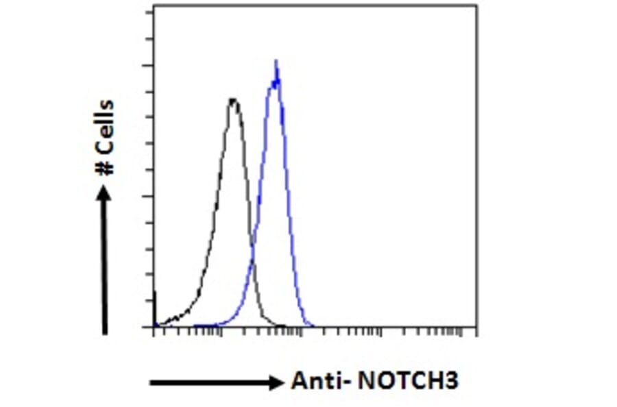 Flow Cytometry - Anti-NOTCH3 Antibody (A84155) - Antibodies.com