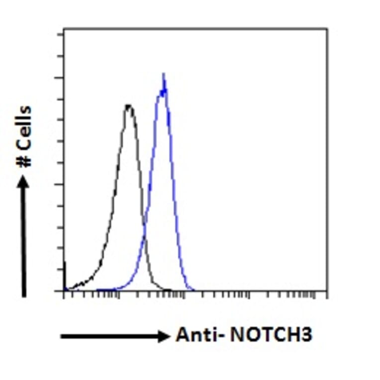 Flow Cytometry - Anti-NOTCH3 Antibody (A84155) - Antibodies.com
