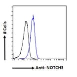 Flow Cytometry - Anti-NOTCH3 Antibody (A84155) - Antibodies.com