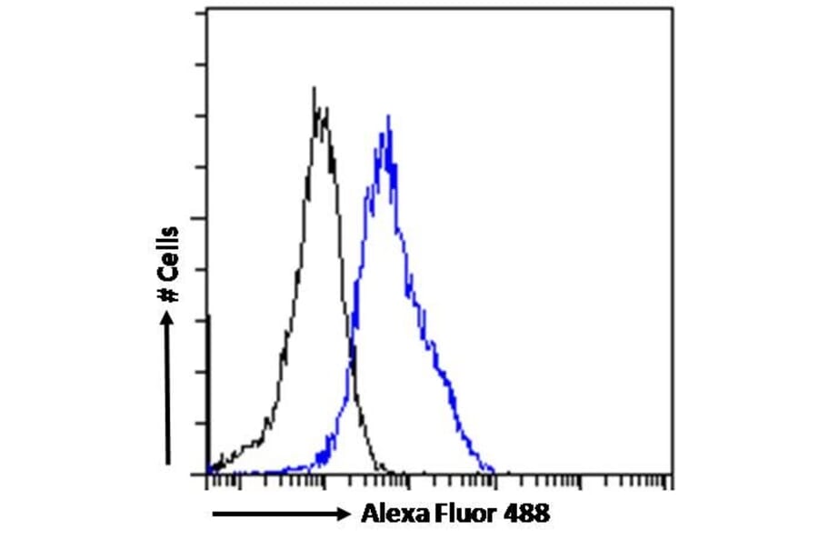 Flow Cytometry - Anti-TPH2 Antibody (A84160) - Antibodies.com