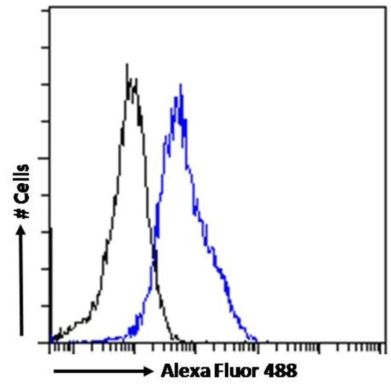 Flow Cytometry - Anti-TPH2 Antibody (A84160) - Antibodies.com