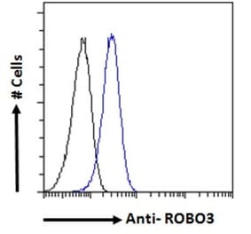 Flow Cytometry - Anti-Robo3 Antibody (A84161) - Antibodies.com