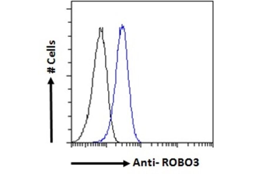 Flow Cytometry - Anti-Robo3 Antibody (A84161) - Antibodies.com