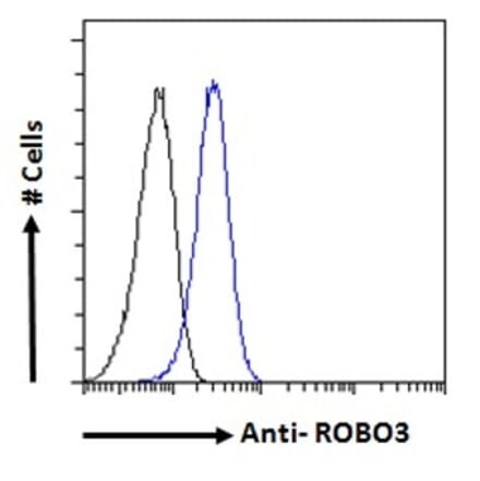 Flow Cytometry - Anti-Robo3 Antibody (A84161) - Antibodies.com