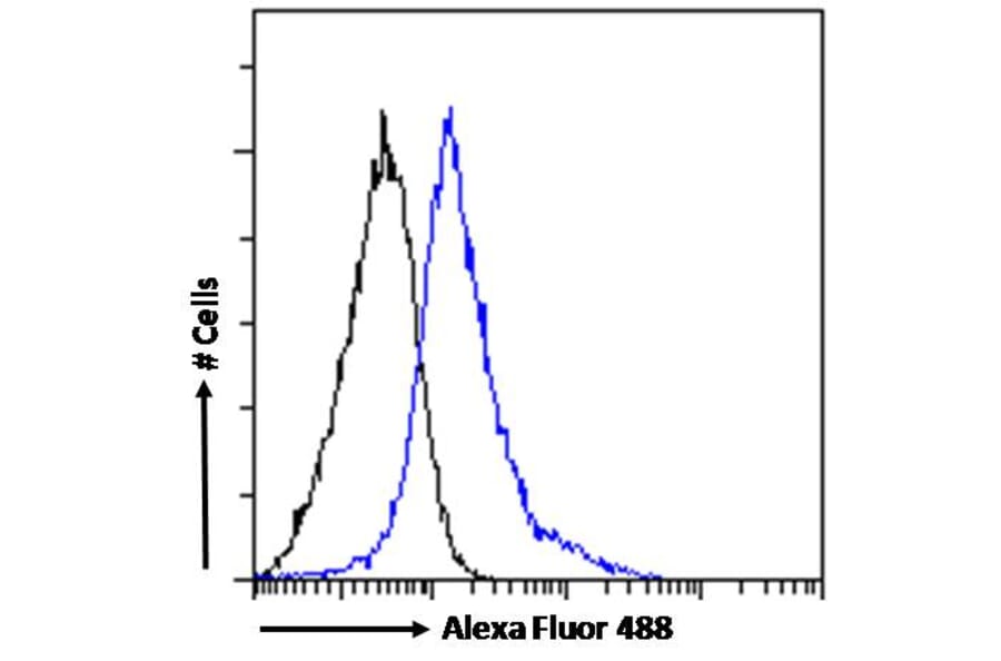 Flow Cytometry - Anti-CD14 Antibody (A84169) - Antibodies.com