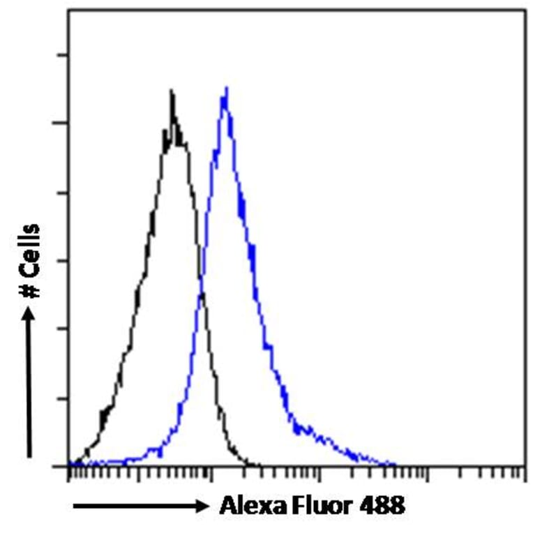 Flow Cytometry - Anti-CD14 Antibody (A84169) - Antibodies.com