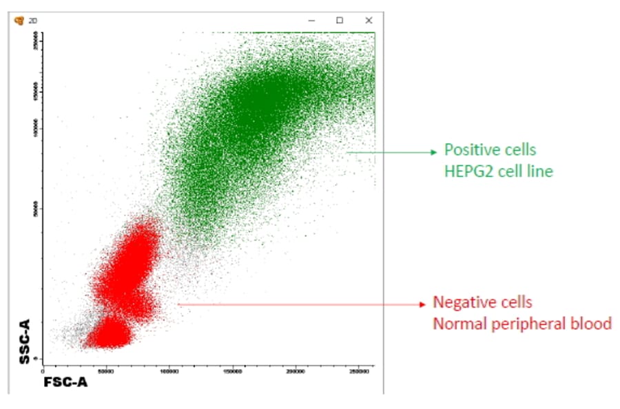 Flow Cytometry - Anti-SCD1 Antibody (A84171) - Antibodies.com