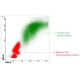 Flow Cytometry - Anti-SCD1 Antibody (A84171) - Antibodies.com