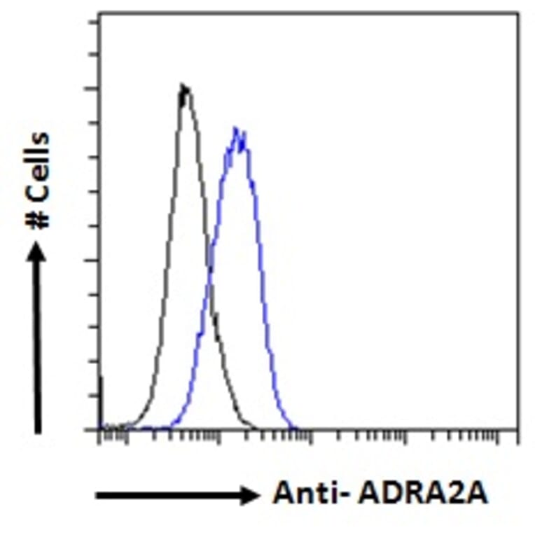 Flow Cytometry - Anti-ADRA2A Antibody (A84177) - Antibodies.com