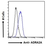 Flow Cytometry - Anti-ADRA2A Antibody (A84177) - Antibodies.com