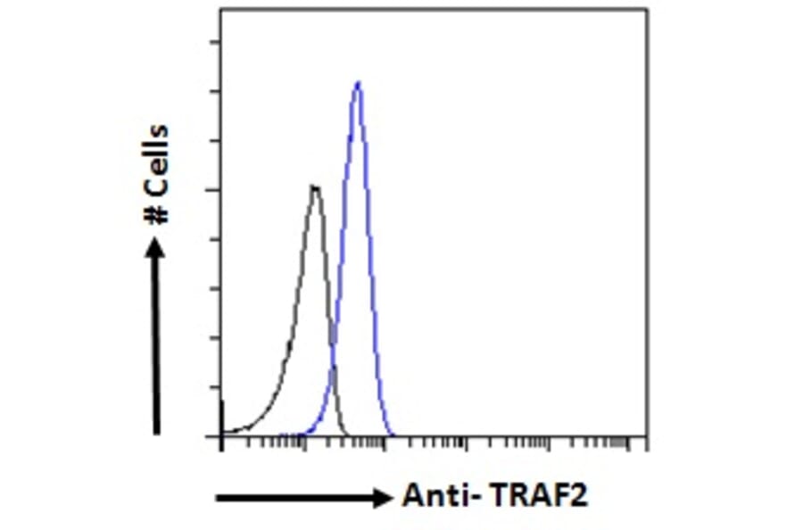 Flow Cytometry - Anti-TRAF2 Antibody (A84190) - Antibodies.com