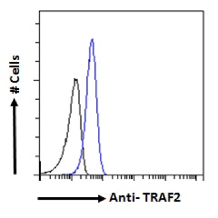 Flow Cytometry - Anti-TRAF2 Antibody (A84190) - Antibodies.com