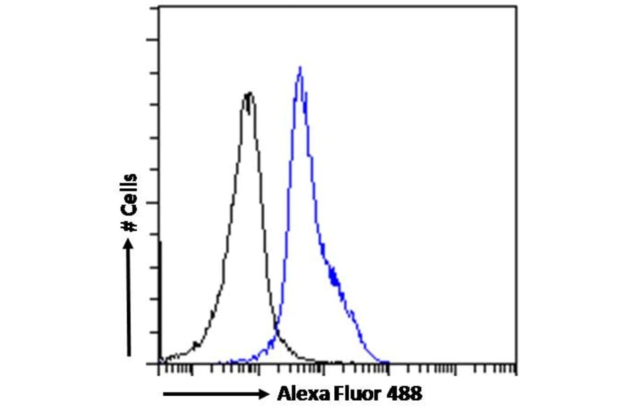 Flow Cytometry - Anti-LEF1 Antibody (A84194) - Antibodies.com