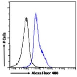 Flow Cytometry - Anti-LEF1 Antibody (A84194) - Antibodies.com