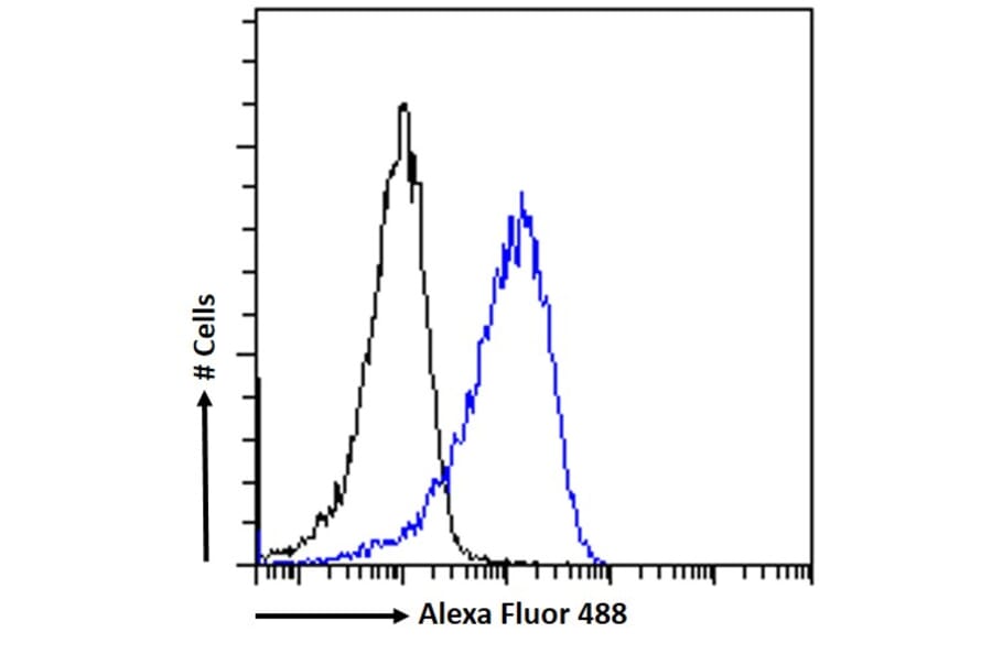 Flow Cytometry - Anti-CNBP Antibody (A84205) - Antibodies.com