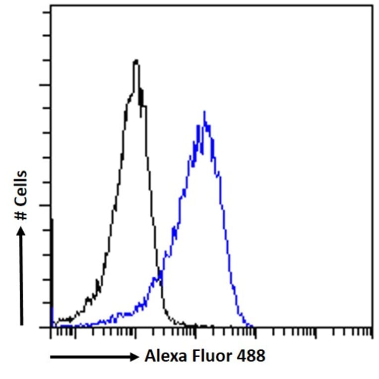 Flow Cytometry - Anti-CNBP Antibody (A84205) - Antibodies.com