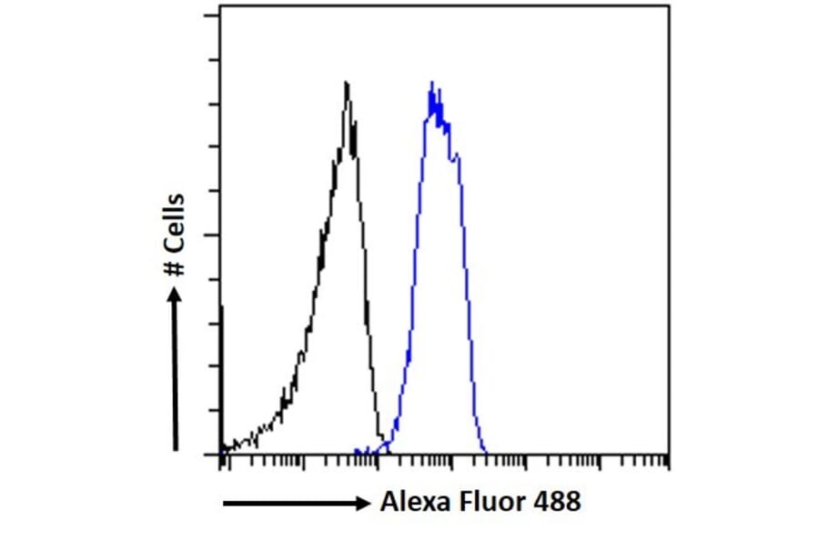 Flow Cytometry - Anti-Chromogranin A Antibody (A84217) - Antibodies.com
