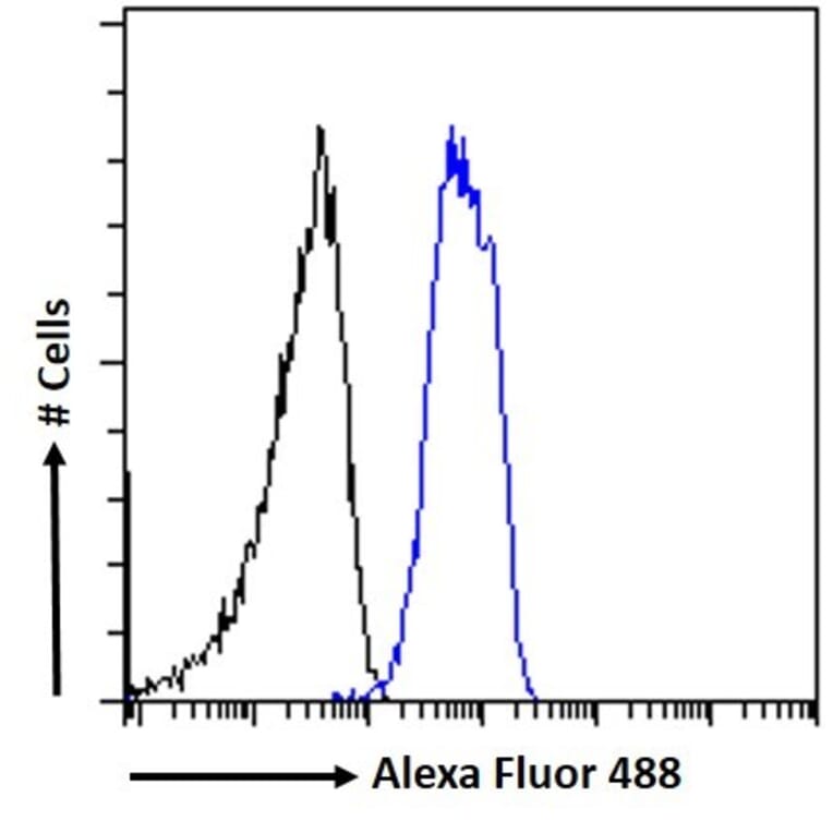 Flow Cytometry - Anti-Chromogranin A Antibody (A84217) - Antibodies.com